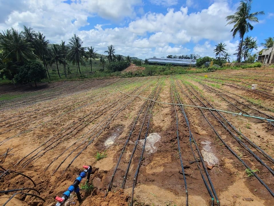 SUPPLY AND INSTALLATION OF DRIP IRRIGATION IN KILIFI COUNTY