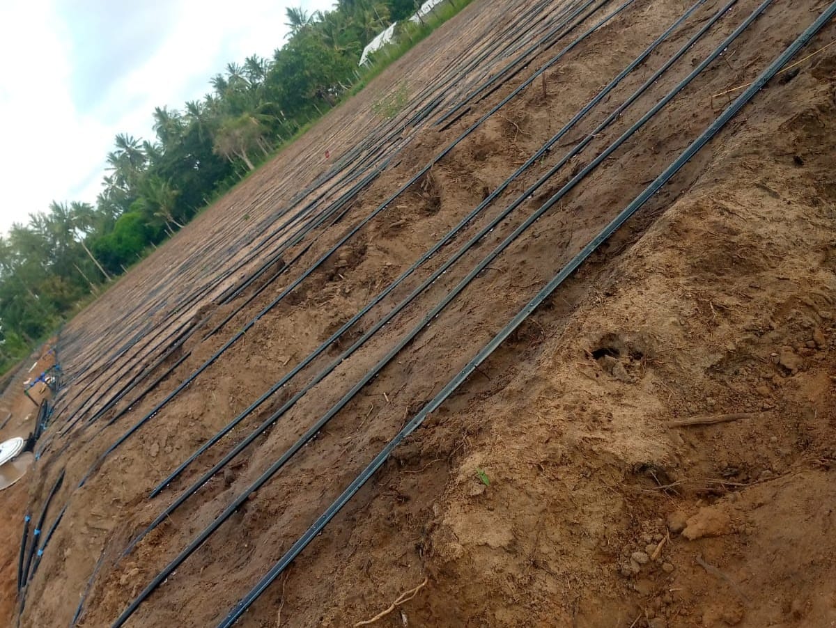 SUPPLY AND INSTALLATION OF DRIP IRRIGATION TAITA TAVETA COUNTY