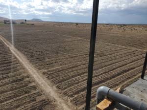 Goldenstar farming Drip Irrigation System