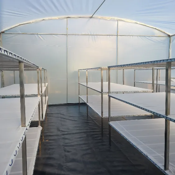 Solar food dryer used to dry fruits and vegetables using renewable solar energy