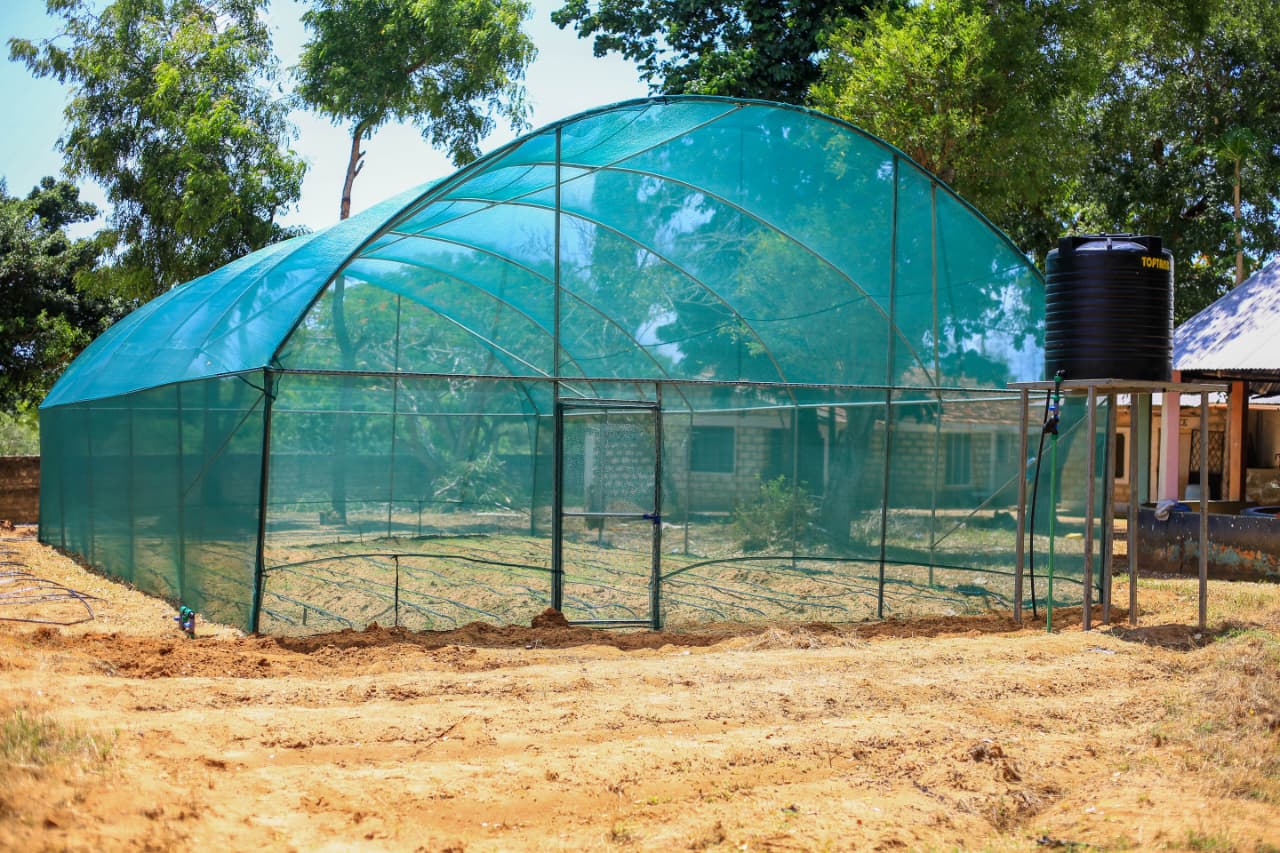 Construction of shadehouses, solar food dryres and greenhouses